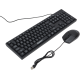 Tastierë dhe mouse me USB D5200