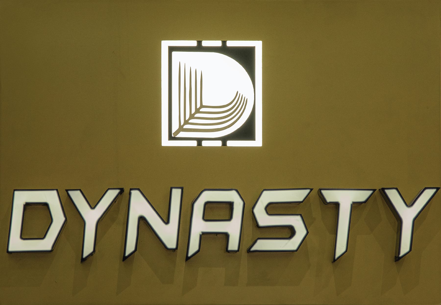 Logo me ndricim Dynasty